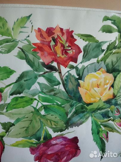 Картина акварель Розы 2006 год