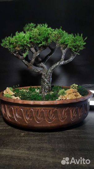 Флорариум с водопадами