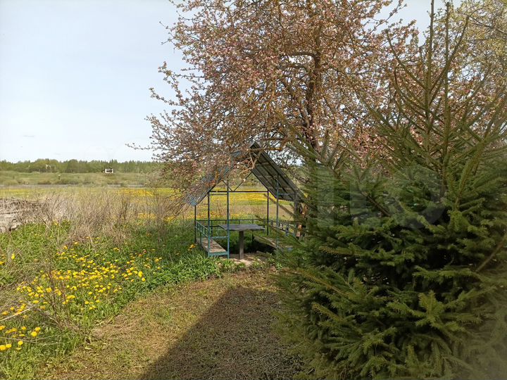 Дом 50 м² на участке 40 сот.