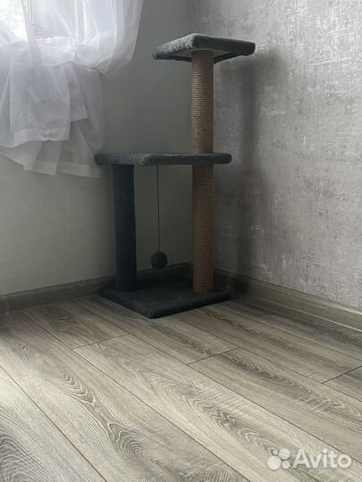 Когтеточка для кошек