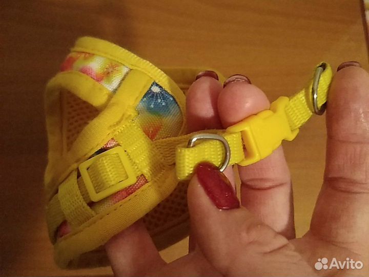 Дождевик, шлейка для маленькой собачки, щенка