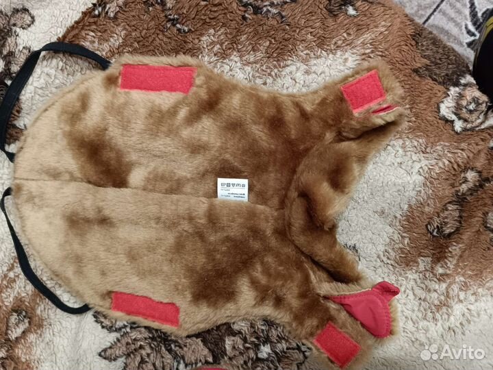 Костюм для собаки