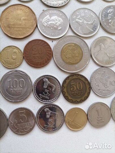 Денежные монеты. Нумизматика