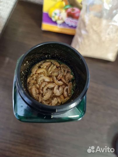 Корм для улиток