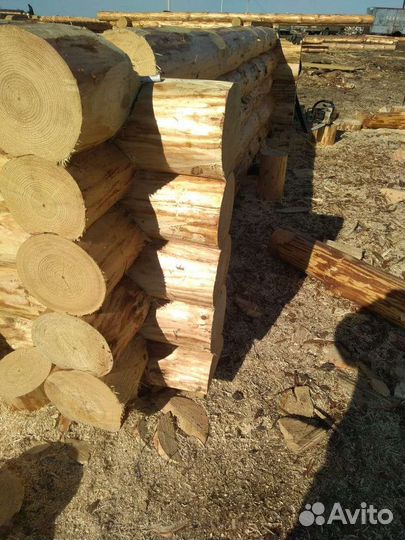 Срубы домов и бань, заказ под ваш размер