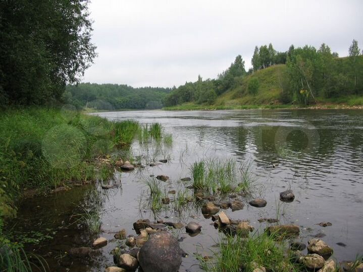 Участок 9 га (ИЖС)