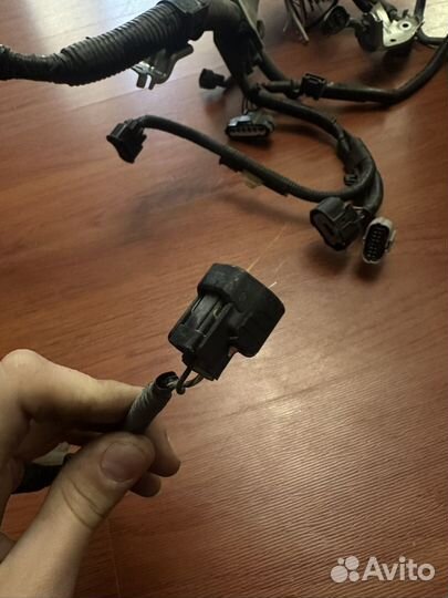 Проводка Toyota Camry, штекеры