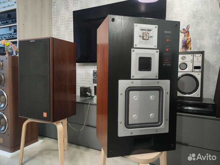 Sony APM55