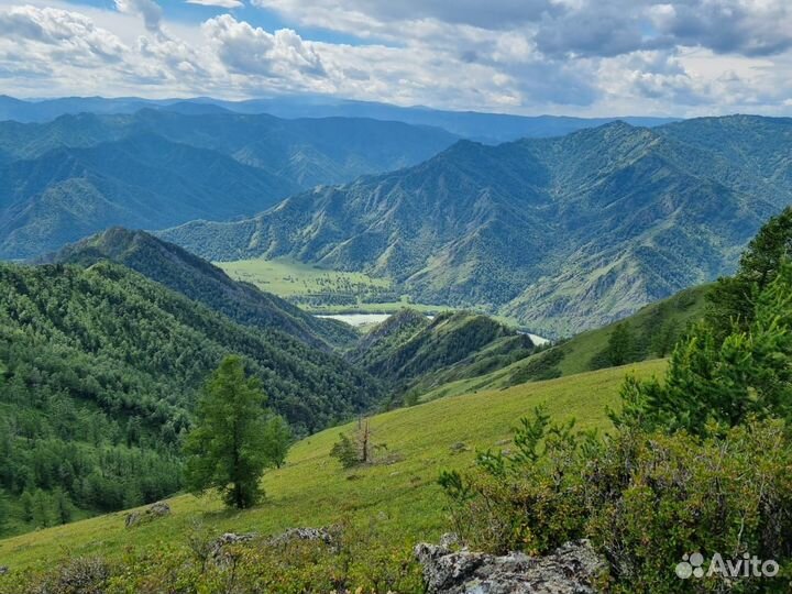 Индивидуальные туры в Горный Алтай