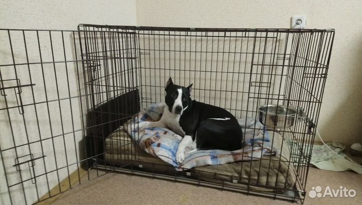 Клетка № 6 2 двери