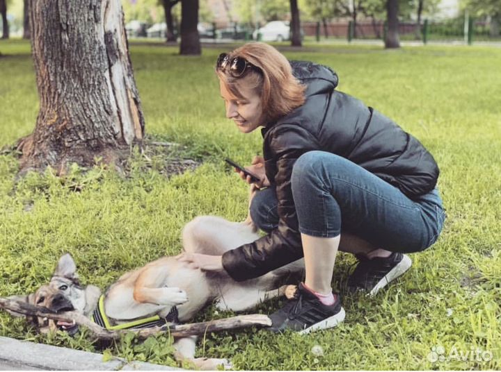 Помощница по хозяйству