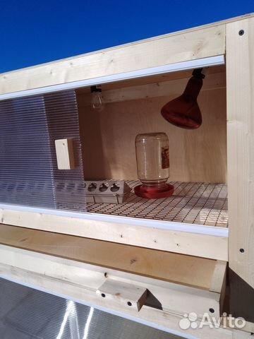 Брудер для цыплят