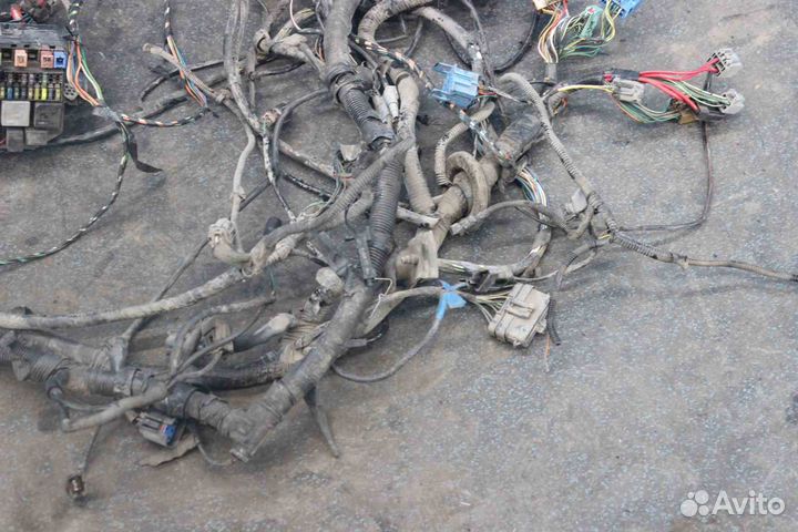 Проводка Ford Mondeo 3 (Форд Мондео 3) BWY 1S7T14K