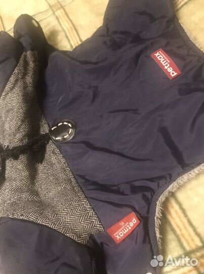 Одежда для собак