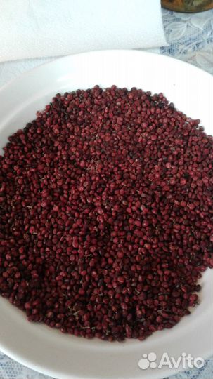 Сумах оленерогий