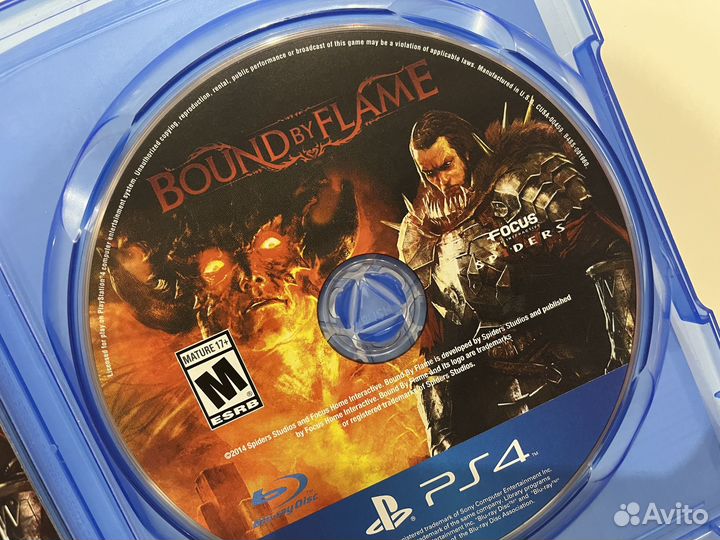 Игра Bound By Flame для PlayStation 4