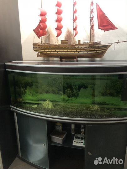 Аквариум 400 л с тумбой и оборудованием б/у