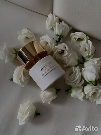 Tiziana terenzi cassiopea tester 100 ml