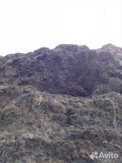 Перегной / Навоз