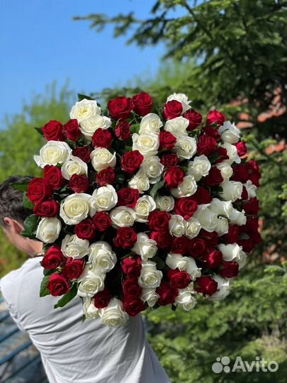 Букет голландских роз 101 шт