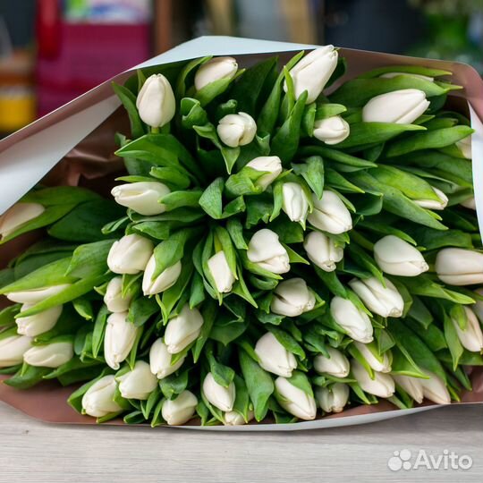Букет тюльпанов белые тюльпаны