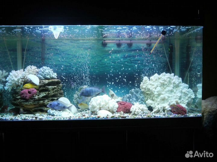 Аквариум Jebo с тумбой