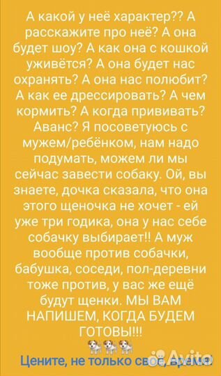 Щенки, немецкая овчарка, стандартный, документы