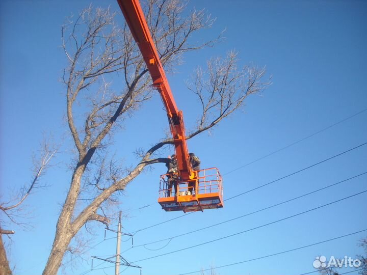 Благоустройство участка