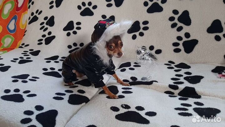 Зимний комбез