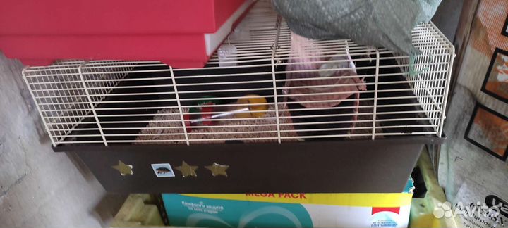 Большая клетка