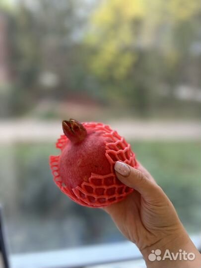 Овощи и фрукты оптом