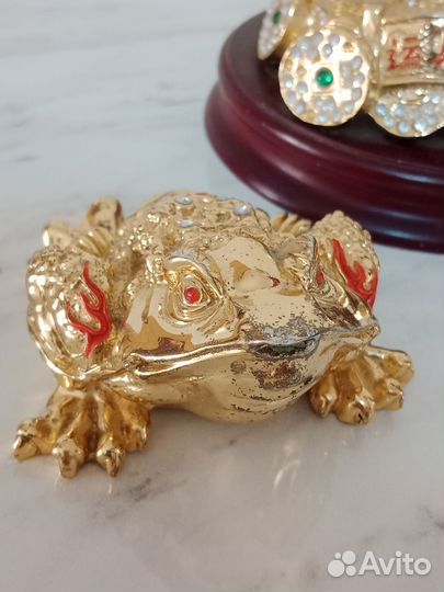 Трёх малая денежная жаба