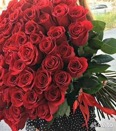 Розы Цветы Букеты 25 151 201 101 301 501 опт