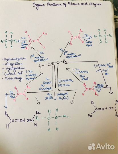 Репетитор по биологии, химии