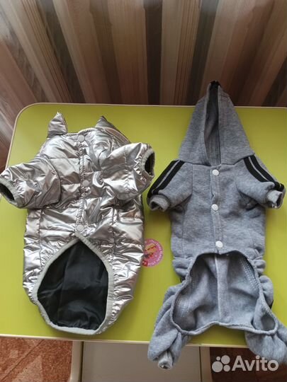 Одежда для собак