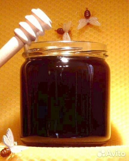 Мёд цикориевый