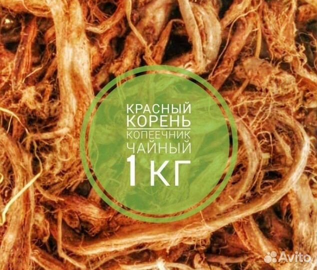 Красный корень копеечник