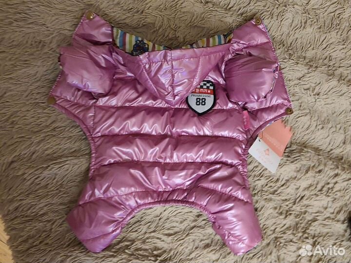 Одежда для собак