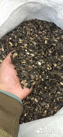 Семечка для птиц