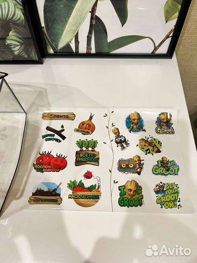 Теплица домашняя