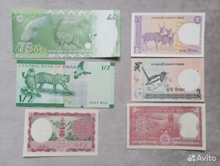 Фауна на бонах Азии