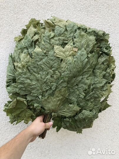 Веник кленовый для бани