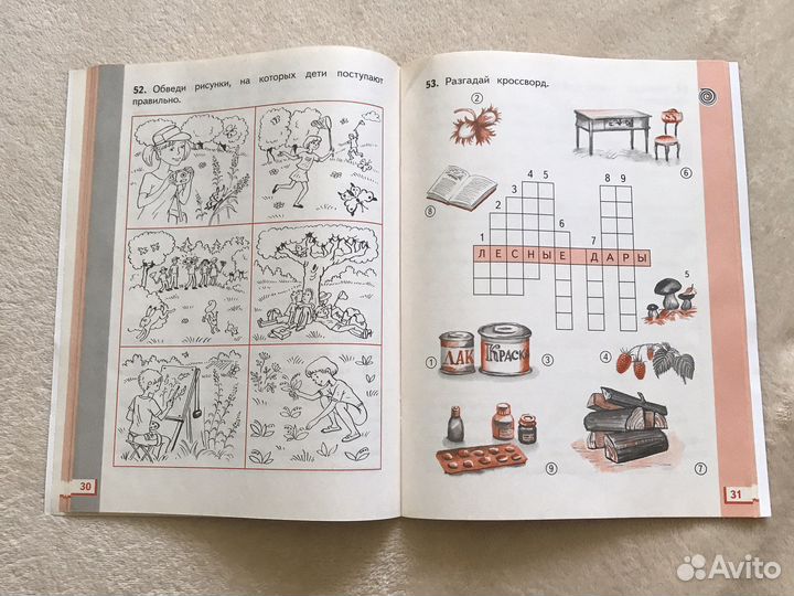 Рабочая тетрадь Окружающий мир 2 класс