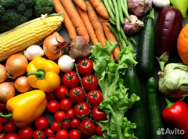 Сборщик овощей вахта г Н.Новгород 15/30/45