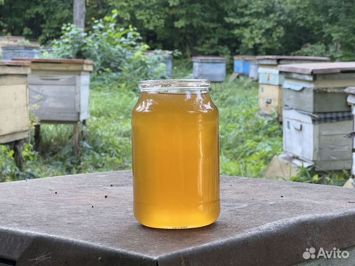 Мед оптом