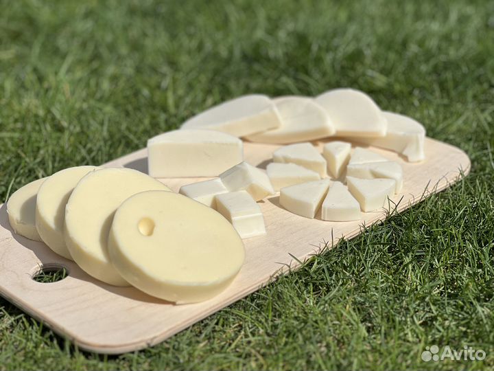 Сыр моцарелла от производителя