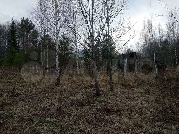 Участок 6 сот. (СНТ, ДНП)