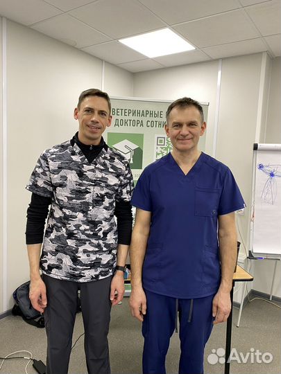 Вызов ветеринарного врача на дом