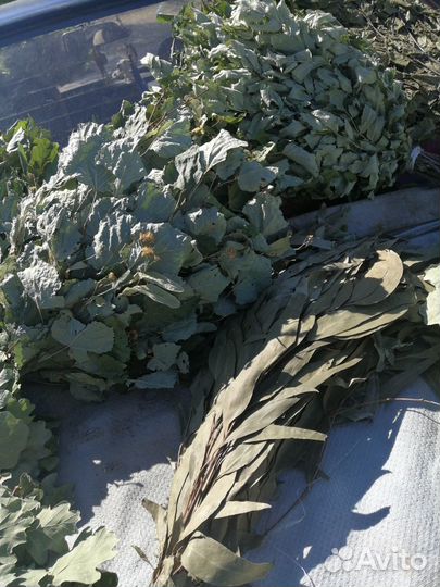 Веники банные