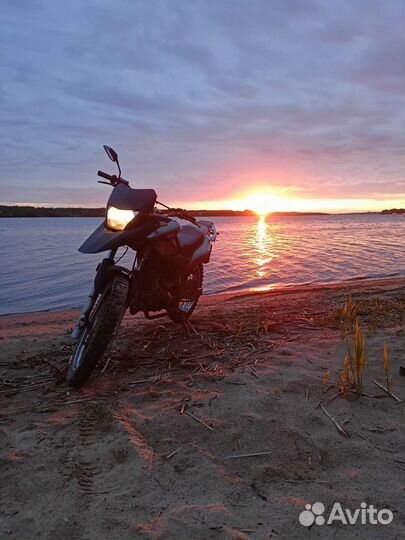 Racer ranger 200